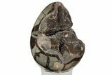 Septarian Dragon Egg Geode - Black Crystals #196256-1